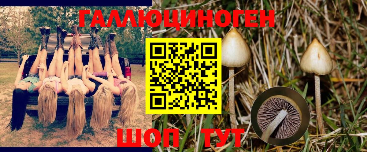 Псилоцибиновые грибы ЛСД Кемерово