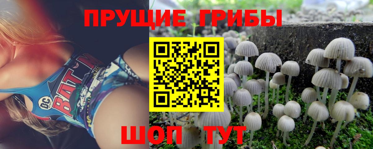 Кемерово  где купить   Вход с VPN  Галлюциногенные грибы ЛСД 